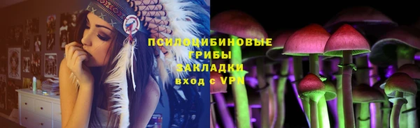 ПСИЛОЦИБИНОВЫЕ ГРИБЫ Лабытнанги