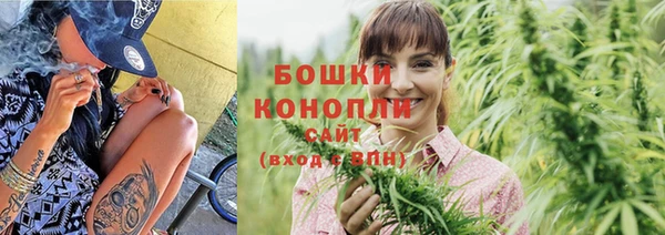 ПСИЛОЦИБИНОВЫЕ ГРИБЫ Лабытнанги