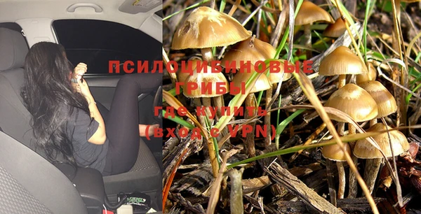 COCAINE Лагань